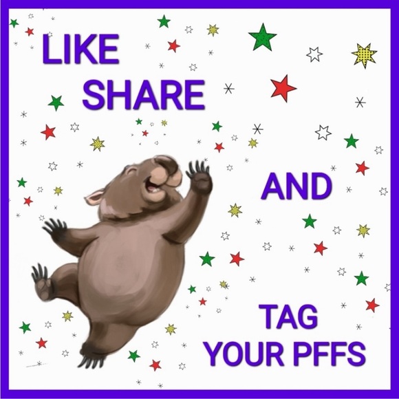 𝟓/𝟔 Yay! I’m Featured! 🐨 - Picture 2 of 5